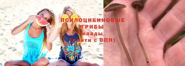 mdpv Баксан