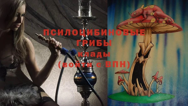 mdpv Баксан