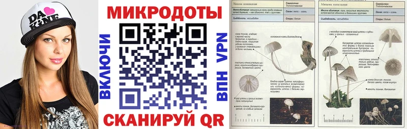 Псилоцибиновые грибы Psilocybine cubensis  Пролетарск 